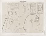 Neues Reich. Dynastie  XVIII. Theben [Thebes]. Luqsor [Luxor].