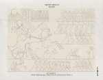 Neues Reich. Dynastie XVIII.  El Amarna [Tell el-Amarna]. Nördliche Gräbergruppe. Grab 3. Zweiter Raum, linke Wand A.