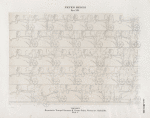 Neues Reich. Dynastie. XIX. Theben [Thebes]. Memnonia [Ramesseum]. Tempel Ramses II. Erster Pylon. Westseite, Südhälfte. Blatt A.