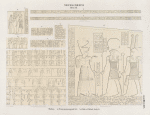 Neues Reich. Dynastie XX.  Theben [Thebes]: a. Prinzessinnengrab No. 10; b-i. Bab el Meluk [Bîbân el-Mulûk], Grab 9.
