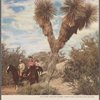 Lunch menu, Dining Car, Southern Pacific