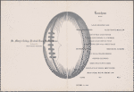 Lunch menu, Union Pacific Railroad