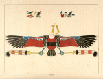Le vautour, emblème vivant de Néith.