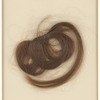 Autograph letter signed to Thomas Jefferson Hogg, 7 January 1815