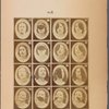 Synoptic Plate 8
