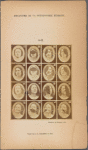 Synoptic Plate 8