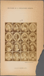 Synoptic Plate 9