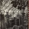 Brooklyn Botanical Gardens