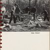 Park Project
