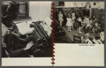 Queensbridge Nursery