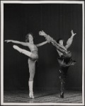 Club Ibis, 1979 Apr. 12