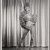 Club Ibis, 1979 Apr. 12