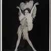 Club Ibis, 1979 May 15