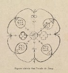 Figure idéiste des Pavots de Sang