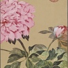 China Airlines
