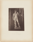 Firenze, Il David di Michelangiolo [Florence, The David by Michelangelo]