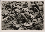 In the prisoner-of-war camps were soon represented all the races and colors that the plutocrats in France and England had called "to the defense of European civilization".  A fearful mixture of peoples, lower than beasts, who had butchered captured German soldiers in various ways.