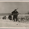 The enemy can see this stretch of ground.  The last 80 meters are covered in double-time.  A supply troop brings building materials to the German advance lines far from the bunkers of the Westwall