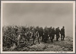 The military exercises go on.  The infantry marches through countryside deep in snow to a drill in defense of the Westwall