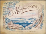 Marrocco's