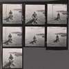 Noël Coward, portrait photographs seated on grassy hill above a lake, contact sheet