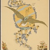 T.S.S. "Ocean Monarch"