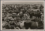 ["With infantry and steed and wagon did the Lord vanquish them."  A portion of the vast booty that the German soldiers made off with during their successful campaign in Poland.]