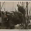 Christmas was also celebrated at the front as the trees from Germany were brought into the bunkers where, by candlelight, the German holiday was kept alive.