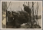 Christmas was also celebrated at the front as the trees from Germany were brought into the bunkers where, by candlelight, the German holiday was kept alive.
