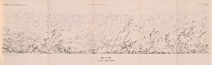 Report upon the Colorado River of the West : explored in 1857 and 1858 by Lieutenant Joseph C. Ives, Corps of Topographical Engineers