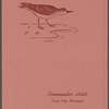 Commander Hotel