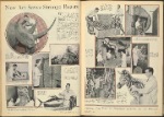 New art saves strange beasts