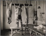 View in slaughter house in the meat section at the experimental farm of the United States Department of Agriculture. Beltsville, Maryland.