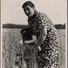 Hightstown, New Jersey. Jewish-American farm mother, Mrs. Cohen, wife of the farm manager