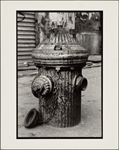 Fire Hydrant