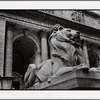 Stephen A. Schwarzman Building, exterior, Patience the lion