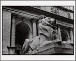 Stephen A. Schwarzman Building, exterior, Patience the lion