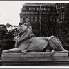Stephen A. Schwarzman Building, exterior, Patience the lion