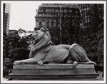 Stephen A. Schwarzman Building, exterior, Patience the lion