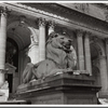 Stephen A. Schwarzman Building, exterior, Patience the lion