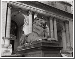 Stephen A. Schwarzman Building, exterior, Patience the lion