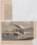 Destruction of a slave Dhow on the coast of Zanzibar