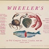 Wheeler's