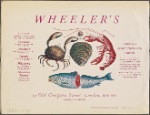 Wheeler's