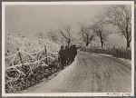 Rime lay upon all the barbed wire.  An icy wind blew over the fields.  Yet the men in field grey guarding the Western Wall hold on despite the harshness of the weather.