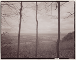 Indian Ladder Trail, John Boyd Thacher State Park, Voorheesville, New York