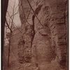 Indian Ladder Trail, John Boyd Thacher State Park, Voorheesville, New York