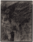 Indian Ladder Trail, John Boyd Thacher State Park, Voorheesville, New York