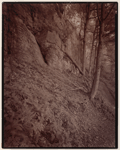 Indian Ladder Trail, John Boyd Thacher State Park, Voorheesville, New York