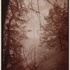 Indian Ladder Trail, John Boyd Thacher State Park, Voorheesville, New York
